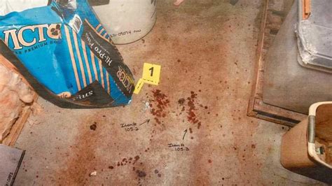 alex murdaugh crime scene photographs|The crime scene evidence that convicted Alex Murdaugh